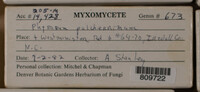 Image Associated With the Occurence